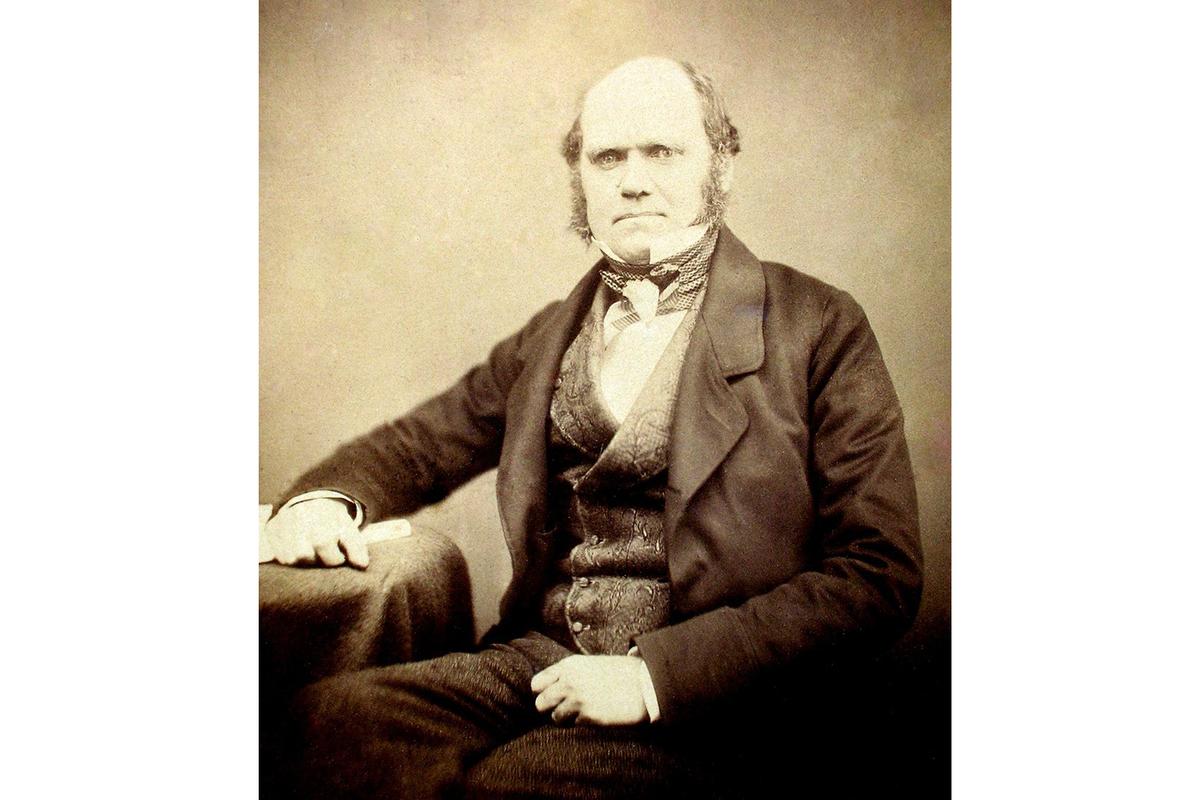 Организованна ли наша жизнь?