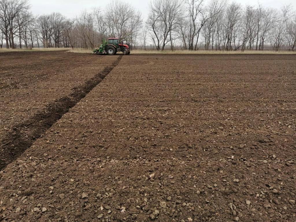 Аграрии Ставрополья засеяли треть площадей под сахарную свеклу