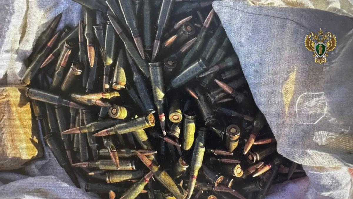 На Ставрополье мужчину осудили за хранение патронов и самодельного оружия