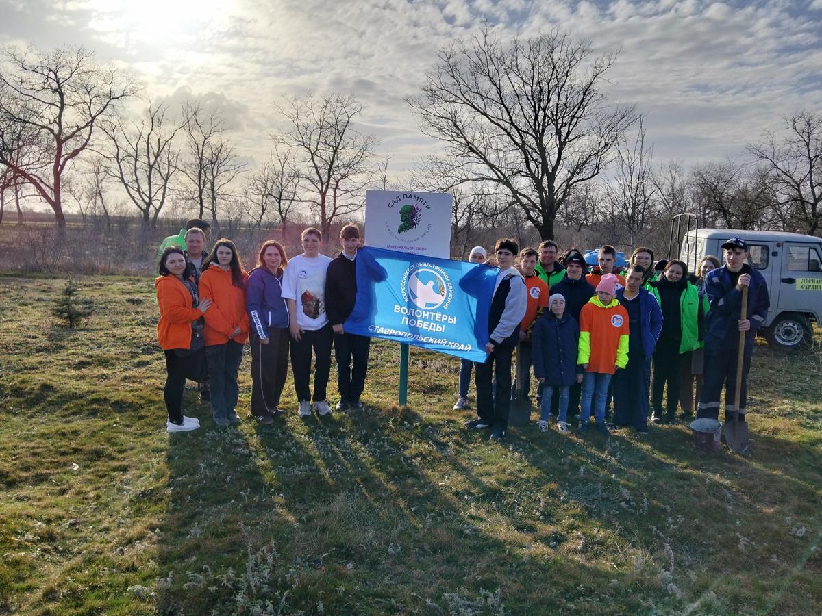 В Ипатовском округе первым в стране в 2026 году появился Сад Памяти