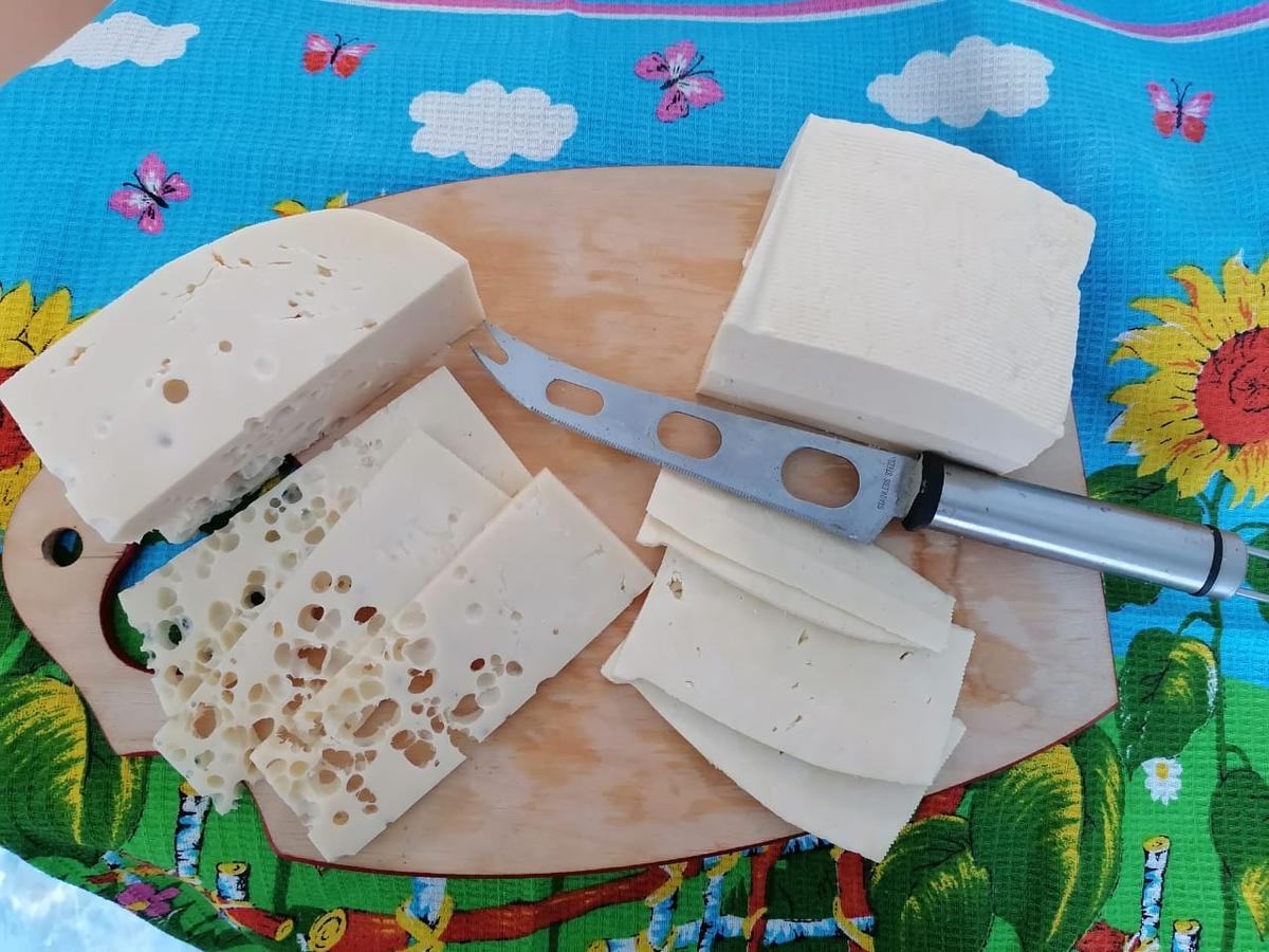 Производство сыра на Ставрополье увеличилось на 30%