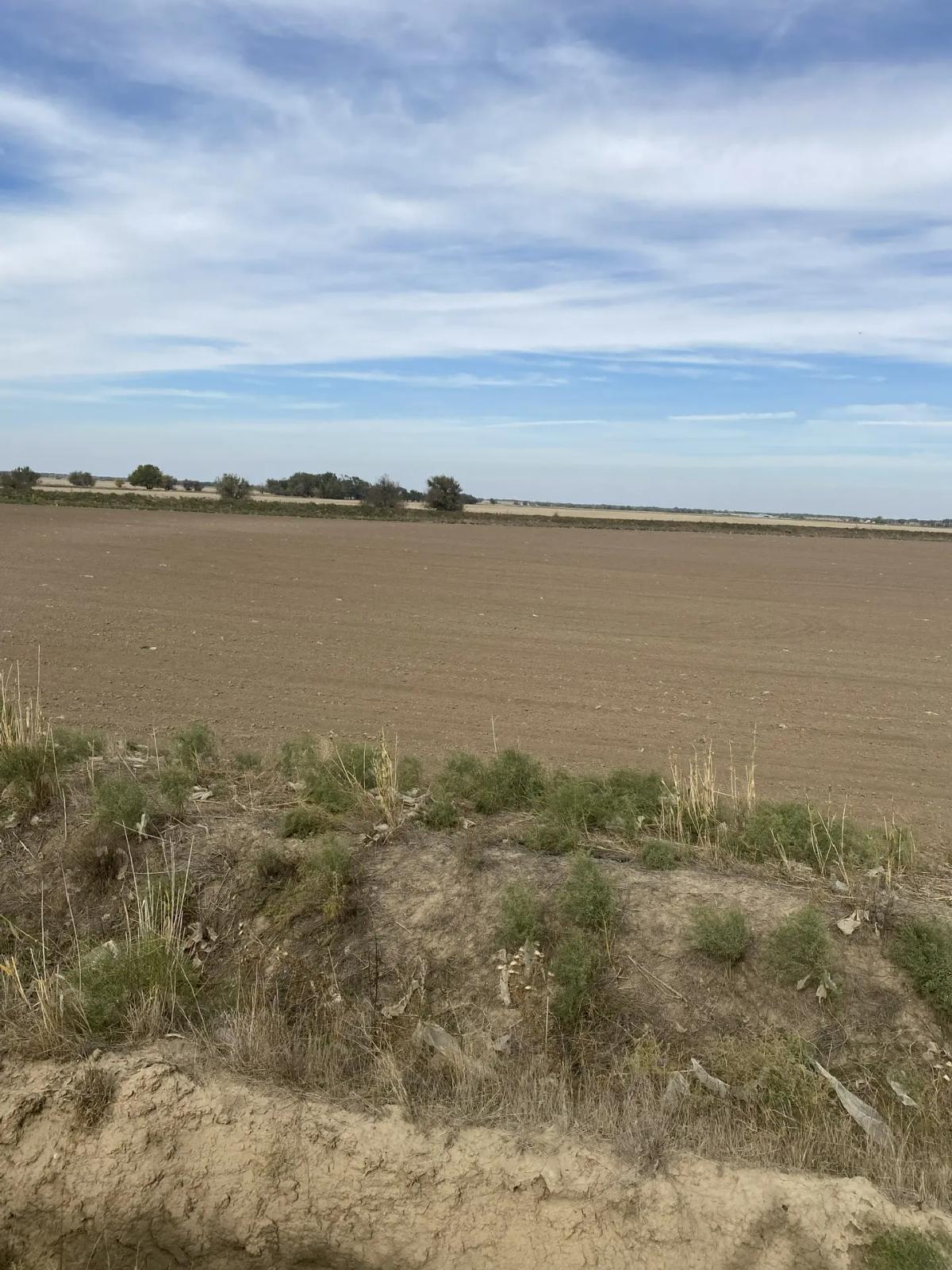 В Ставрополе осудили фермера за ложные данные при получении субсидии