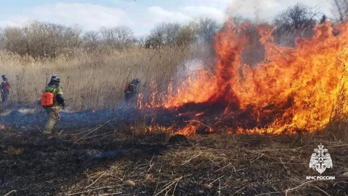 В Ставрополе ликвидировали возгорание камыша на 7 гектарах