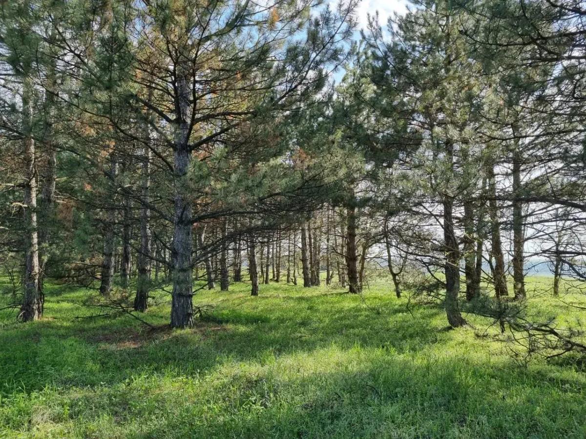 На Ставрополье начинается пожароопасный сезон 