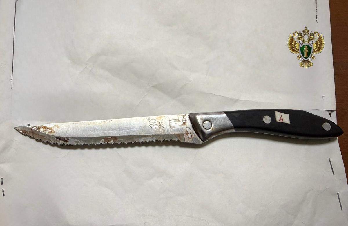 Житель села Ачикулак зарезал пожилого соседа в ходе пьяного конфликта