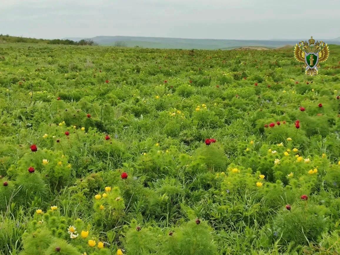 На КМВ создадут охотничью инфраструктуру