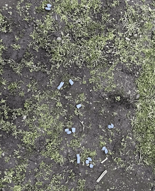 В Георгиевске задержан иностранец, пытавшийся сбыть синтетические наркотики