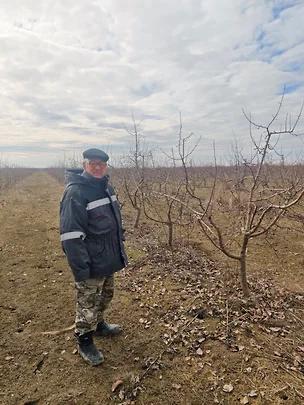 Ставропольские сады и виноградники успешно вошли в весну