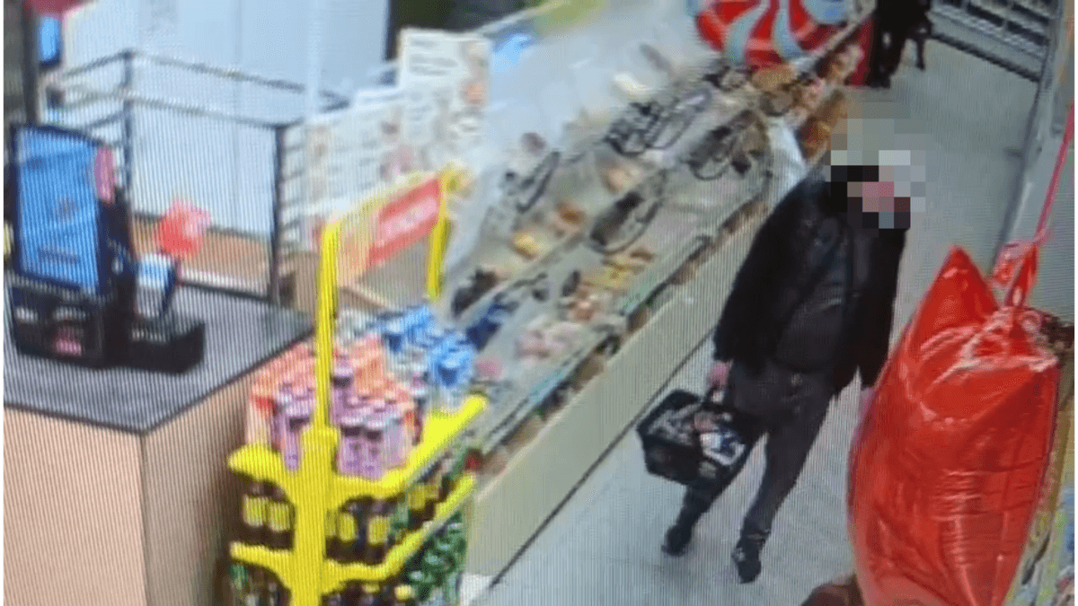 В Предгорном округе раскрыли кражу из сетевого магазина