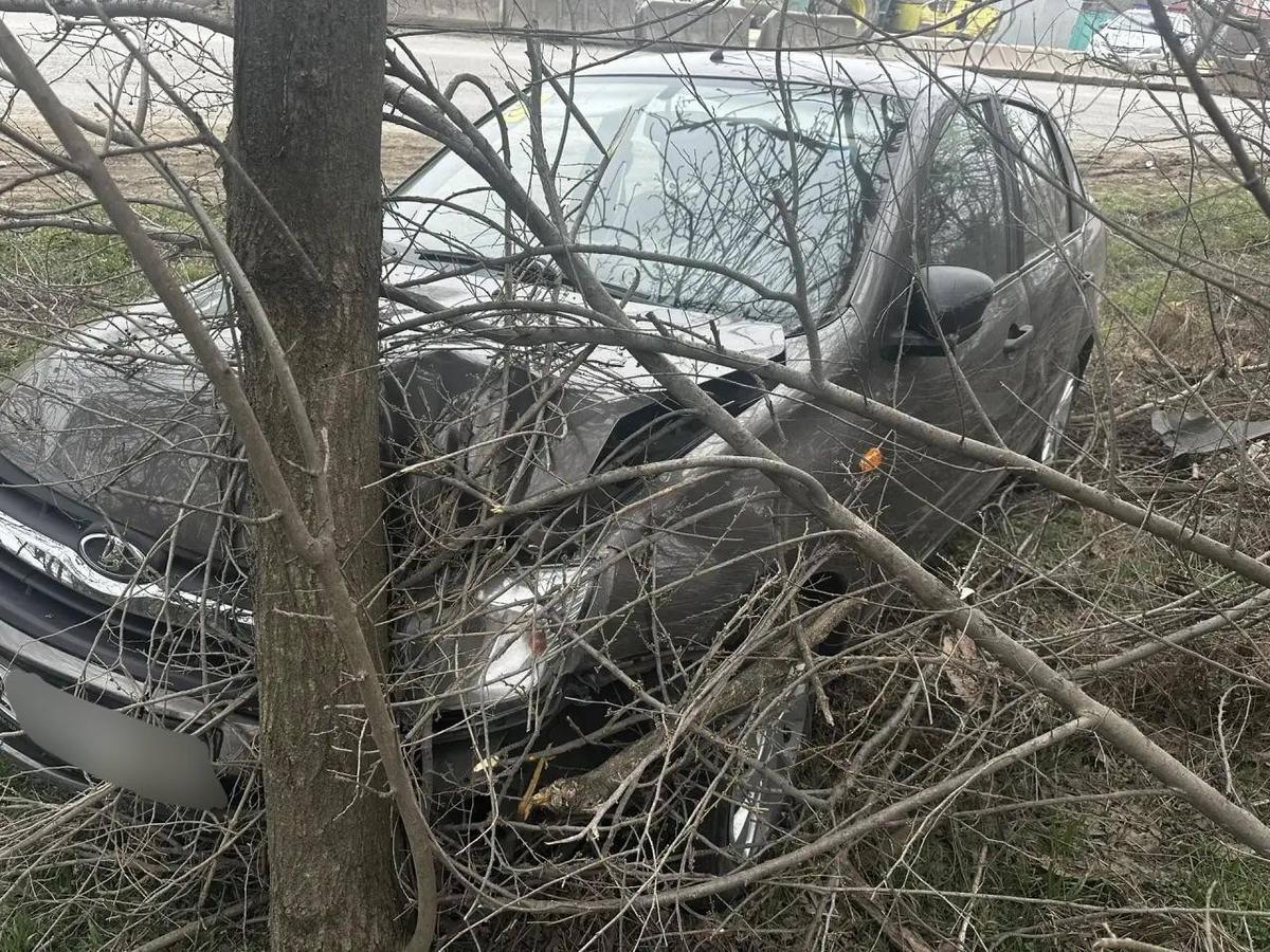 Пожилой водитель из Ессентуков мог врезаться в дерево и погибнуть из-за здоровья