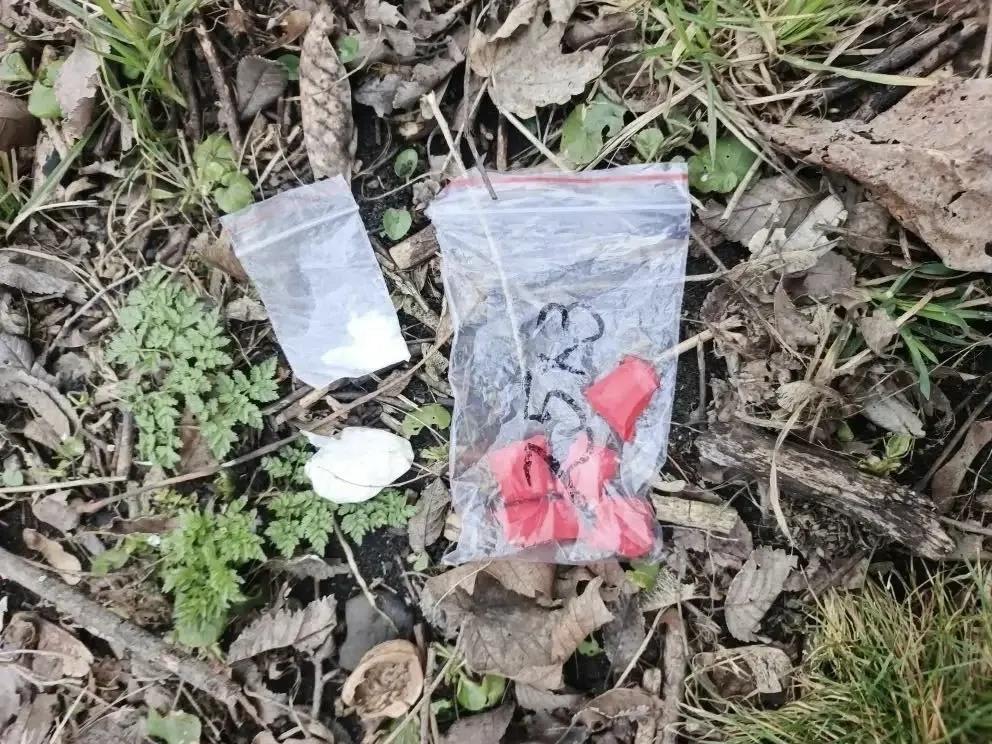 Полиция Пятигорска пресекла сбыт крупной партии наркотиков