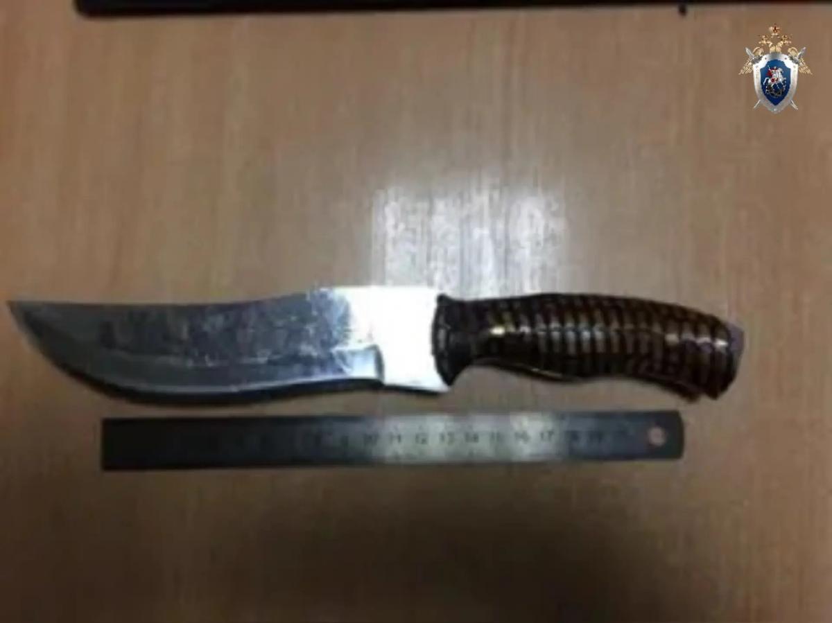 Два жителя Лысогорской осуждены на длительные сроки за покушение на убийство сотрудника полиции