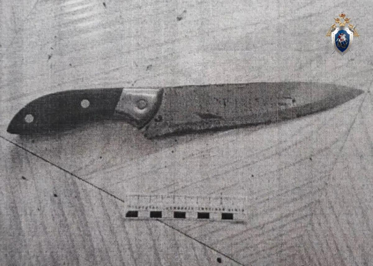 Убившему на застолье мужчину и ранившему его жену жителю Пятигорска дали 14 лет