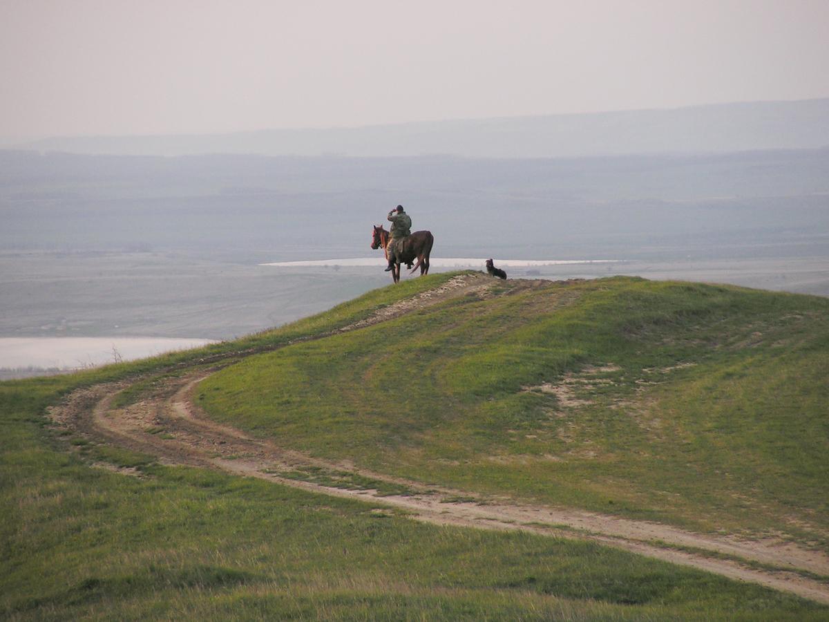 Спасет ли красота мир?