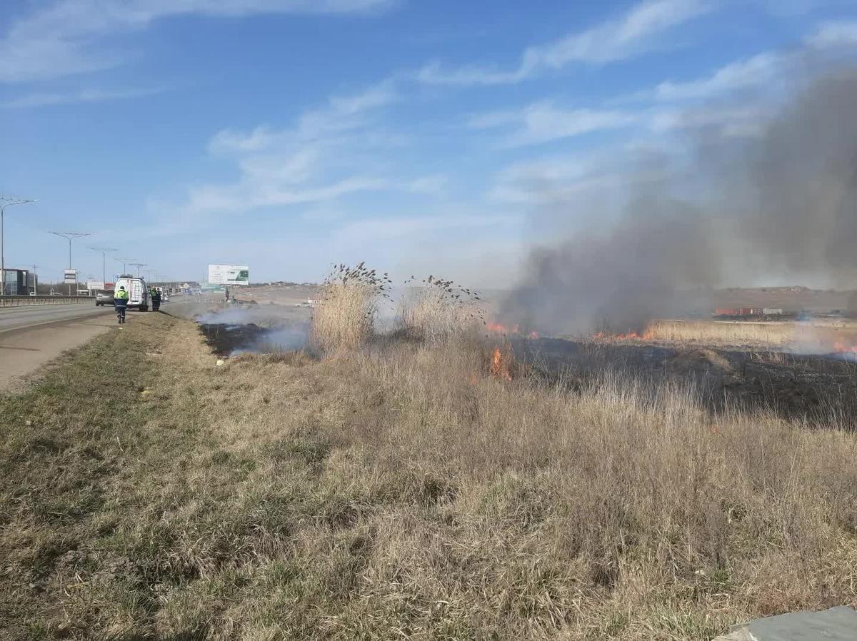 От сухостоя избавят места на Старомарьевском шоссе Ставрополя и у Елагина пруда