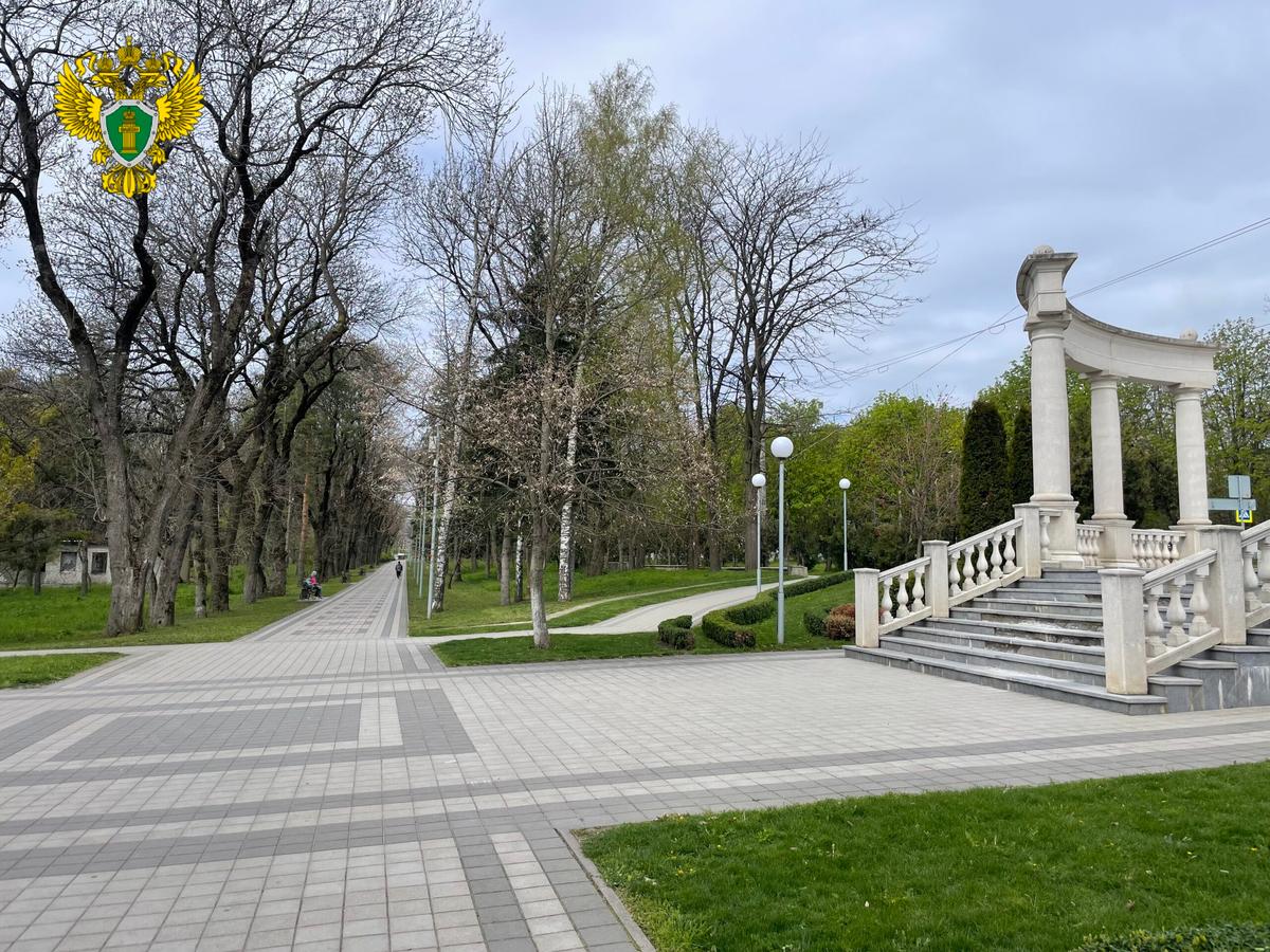 В Ессентуках прокуратура отменила разрешение на снос деревьев в парке