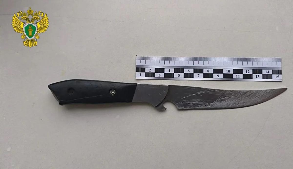 На Ставрополье в колонию суд отправил мужчину за поножовщину