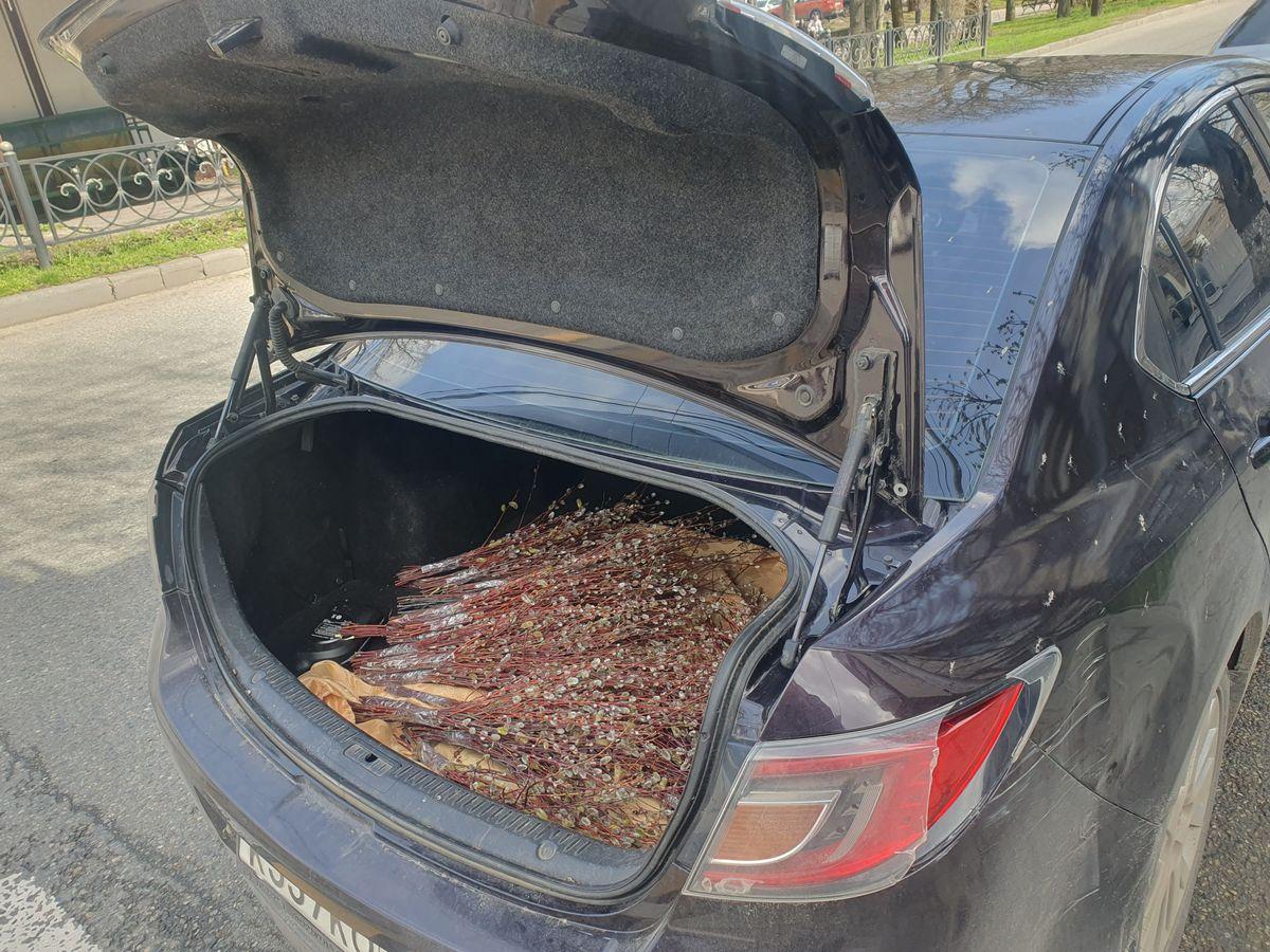 Вербное воскресенье в Ставрополе