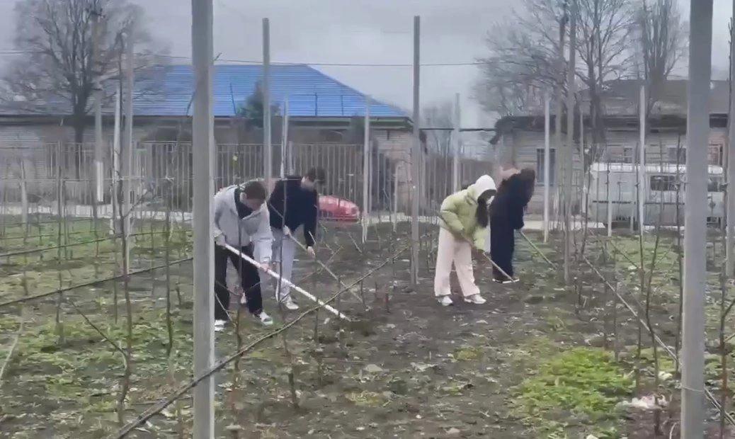 В станице Темнолесской школьники наводят порядок в яблоневом саду