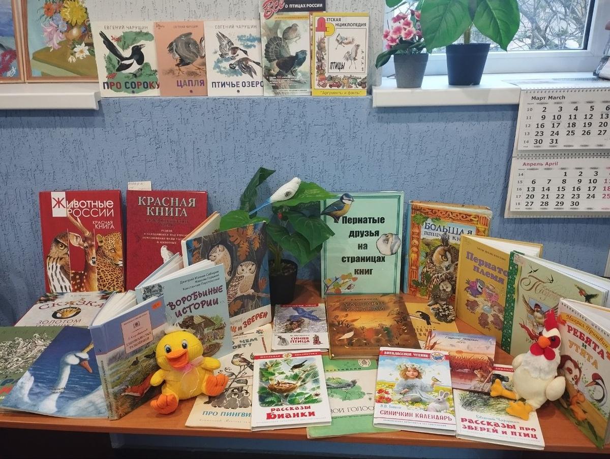 Удивительный мир птиц