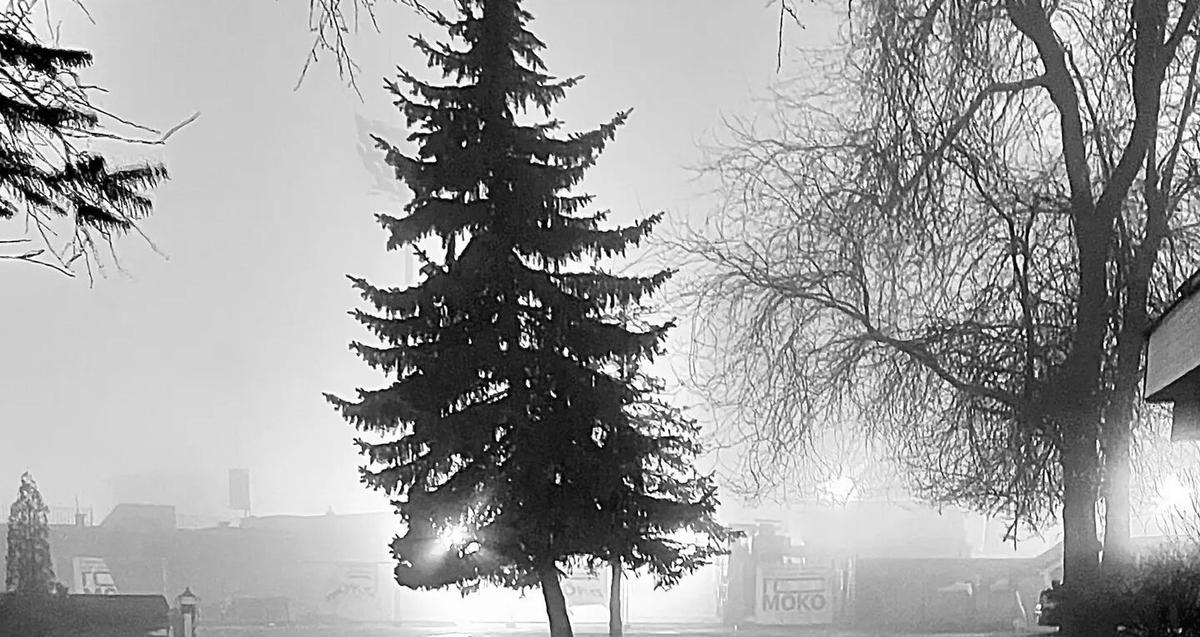 Я и Природа – мы едины