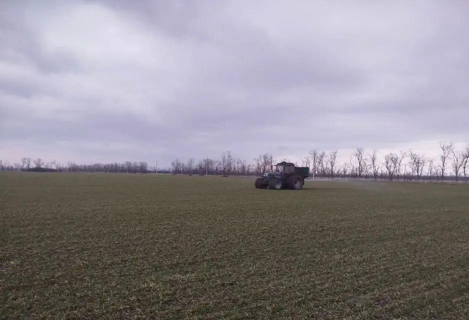 Аграрии Ставрополья продолжают вести весеннюю подкормку озимых