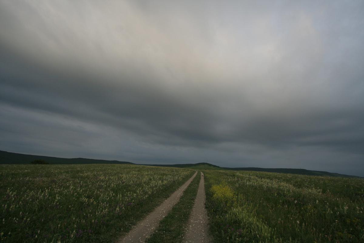 В Нефтекумском округе завершается весенняя посевная
