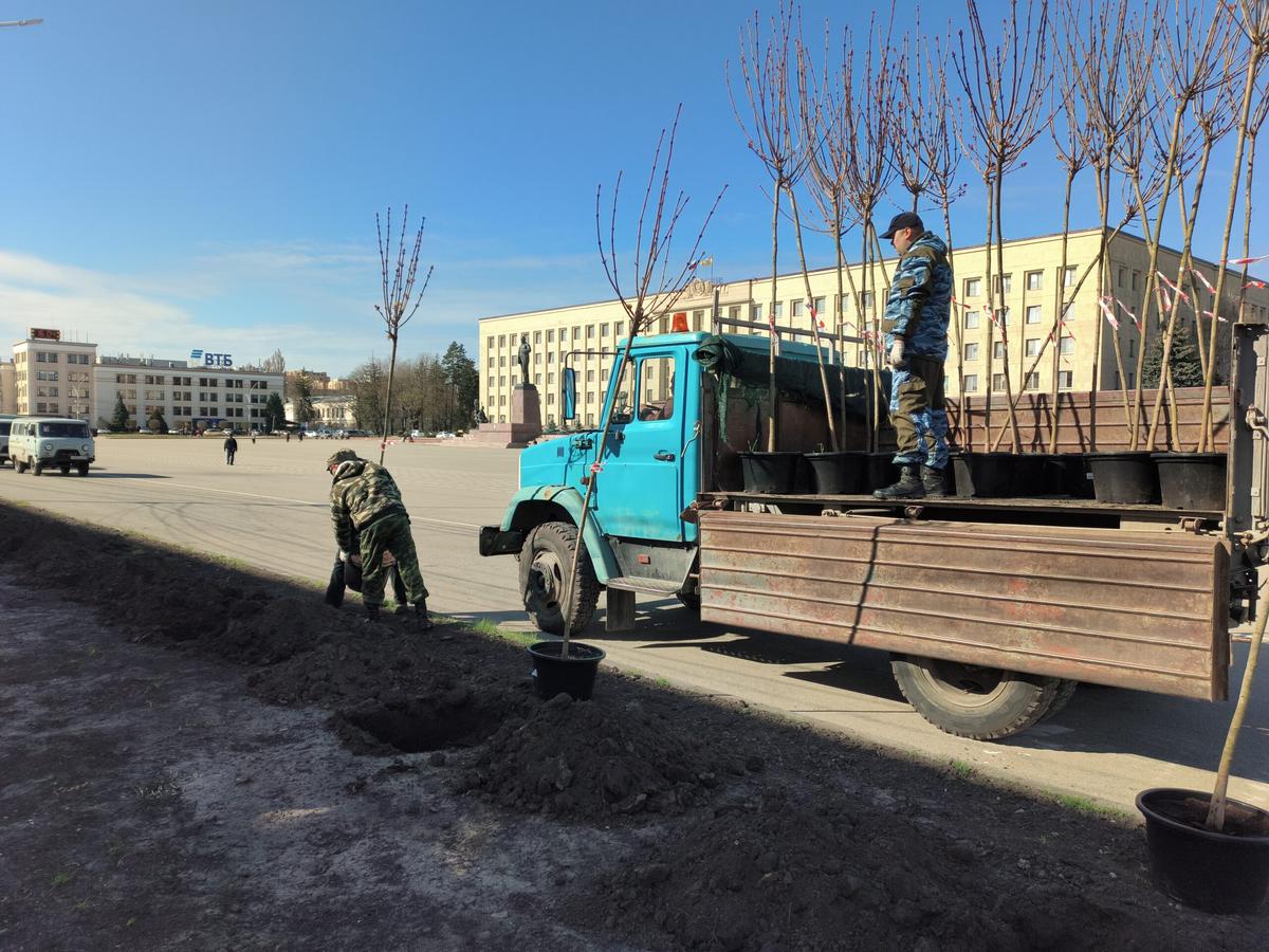 В Ставрополе началась весенняя высадка деревьев