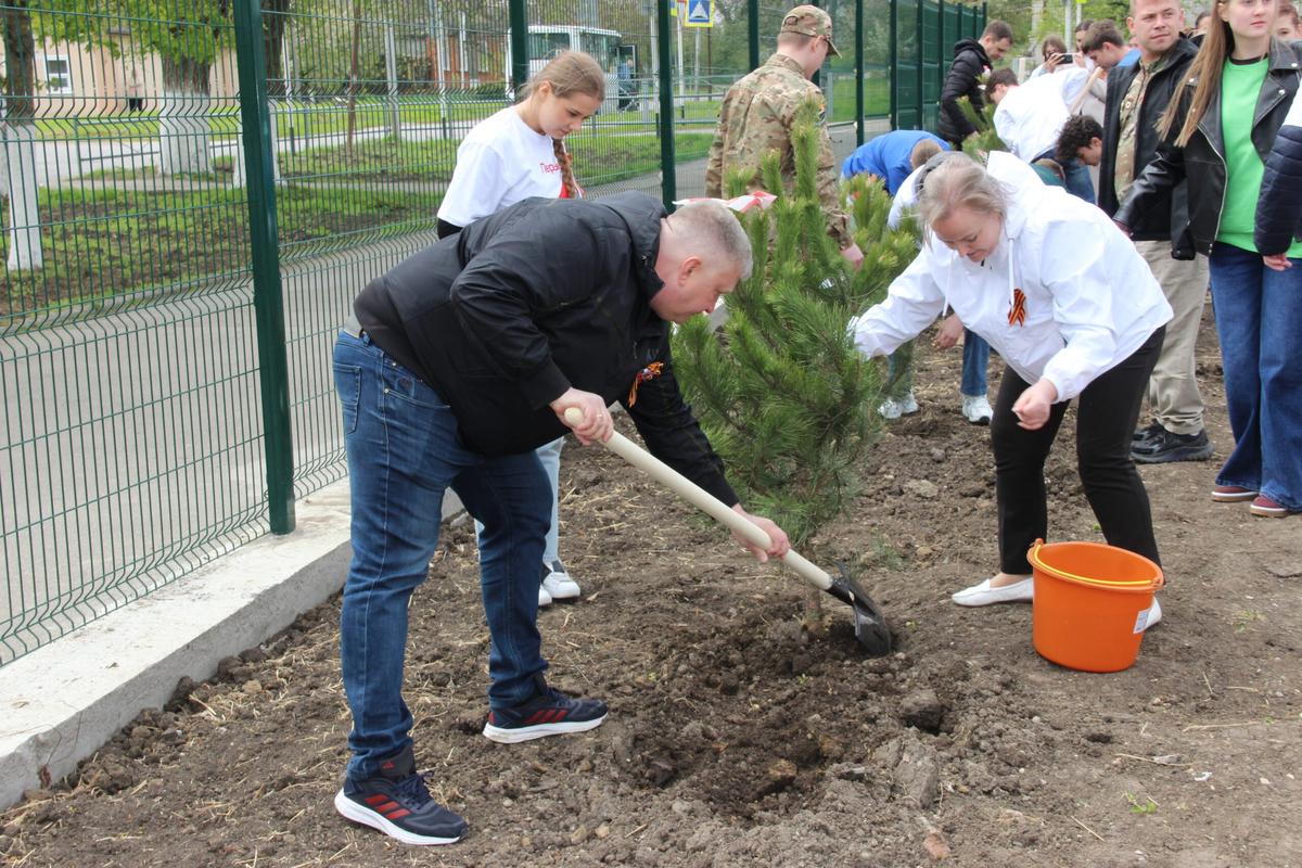 В Георгиевске высадили свыше 450 деревьев в рамках акции «Сад памяти»