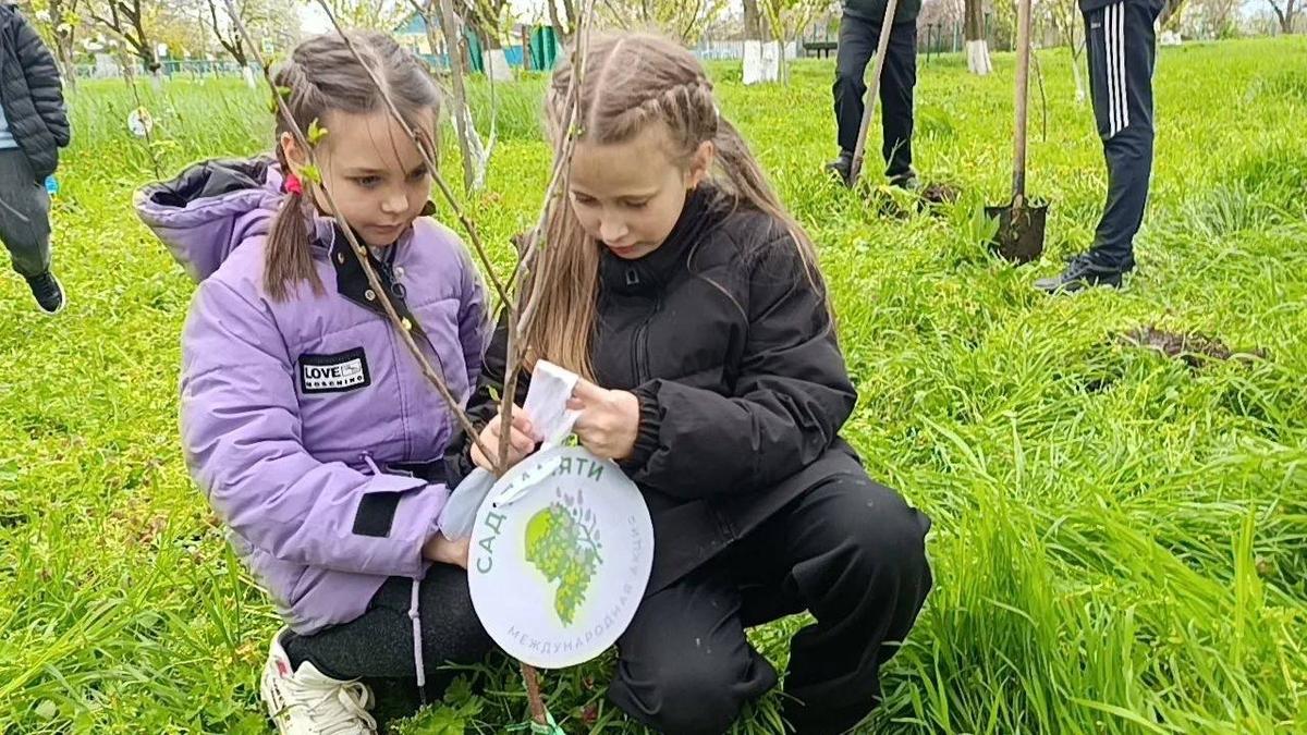 В Кировском округе появятся «Сады памяти»