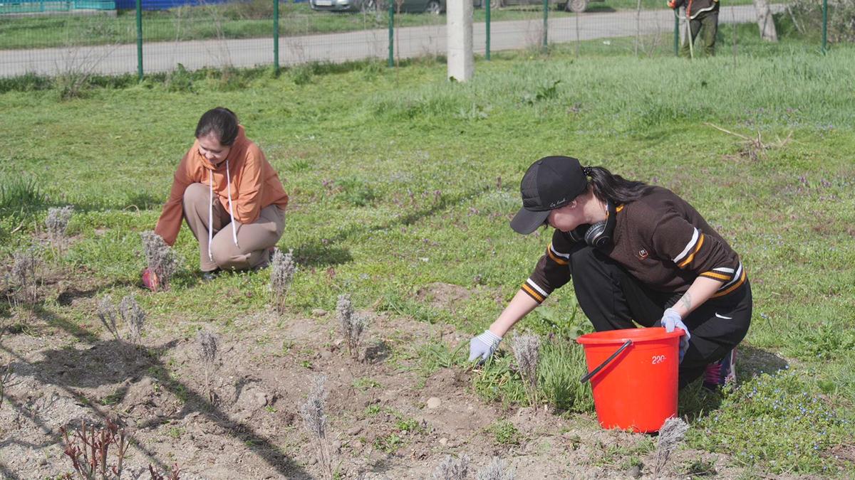 Кочубеевский округ Ставрополья массово вышел на субботник