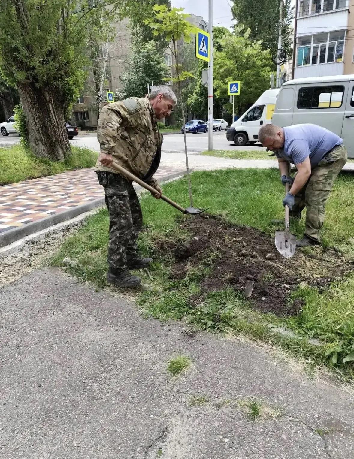 В этом году в Ставрополе  высадят  более 6 тысяч молодых деревьев