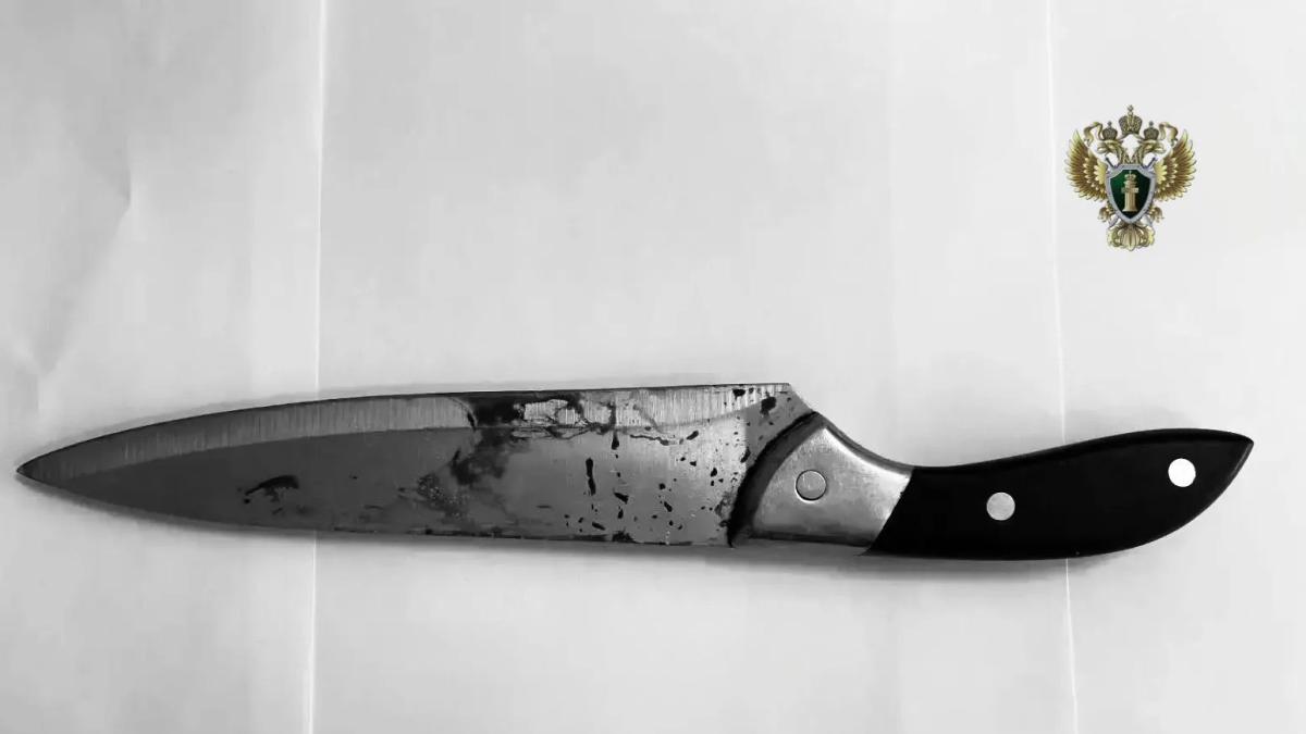 В Летней Ставке женщина ответит в суде за убийство знакомого кухонным ножом