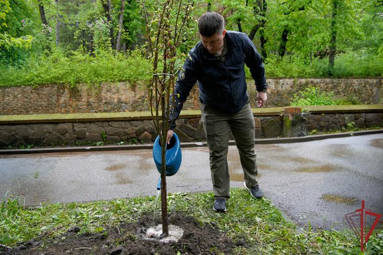 Росгвардейцы высадили 10 лип в Кисловодском нацпарке