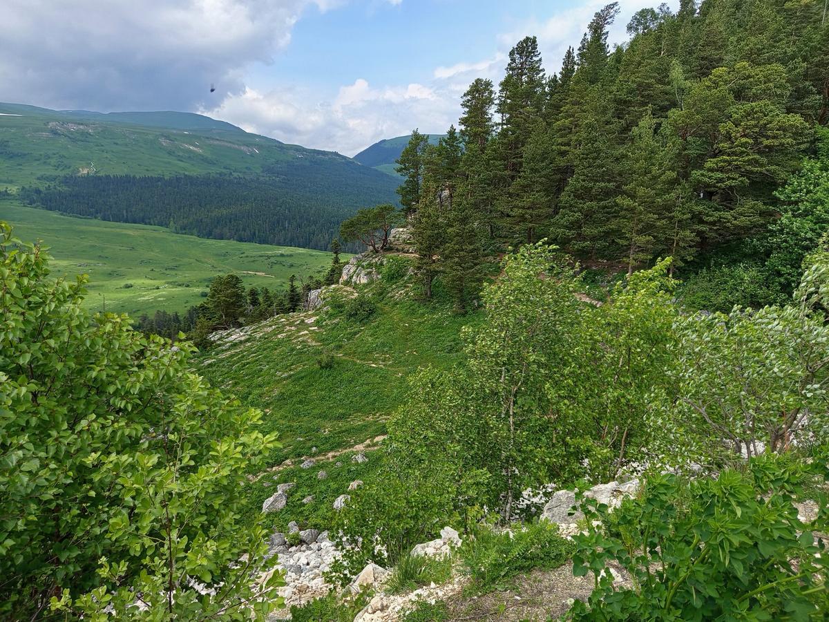 У горы Змейка появилась охранная зона