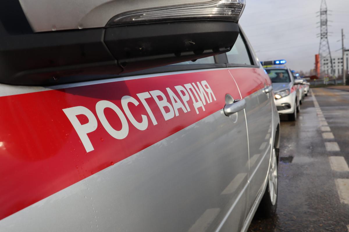 В Пятигорске росгвардейцы пресекли массовую драку