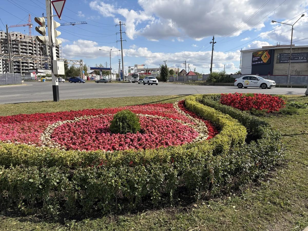 Клумбы Ставрополя ко Дню города украсили более 7 тысяч цветов