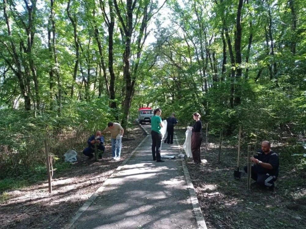 В Ставрополе очистили участок Русского леса от мусора и высадили ясени
