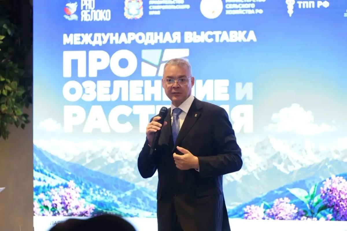 Губернатор Владимиров: озеленение должно закладываться ещё на этапе проектирования