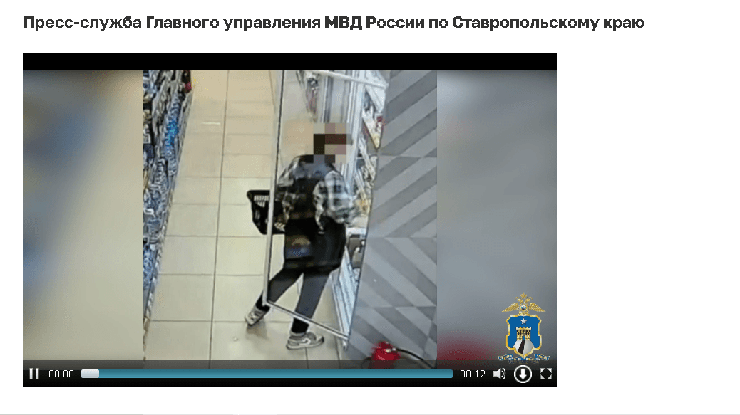 Ранее судимая девица в Минводах наворовала продуктов на более чем 9 тысяч рублей