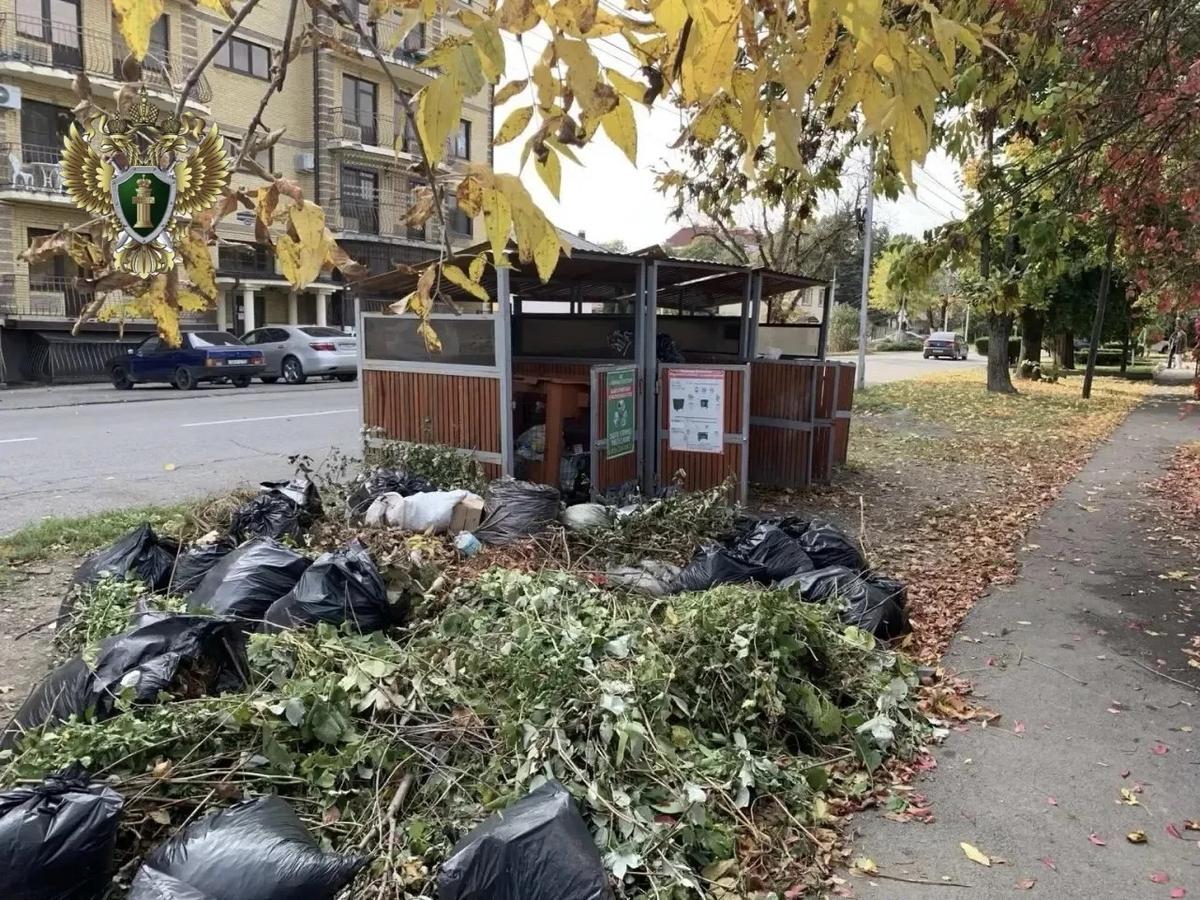 В Ессентуках выявили нарушения в сфере обращения с ТБО 