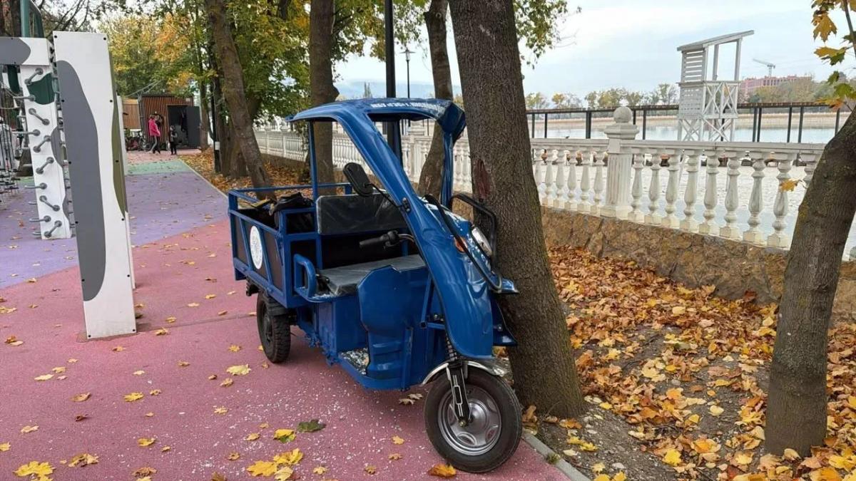 В Кисловодске девочка на электротележке врезалась в дерево