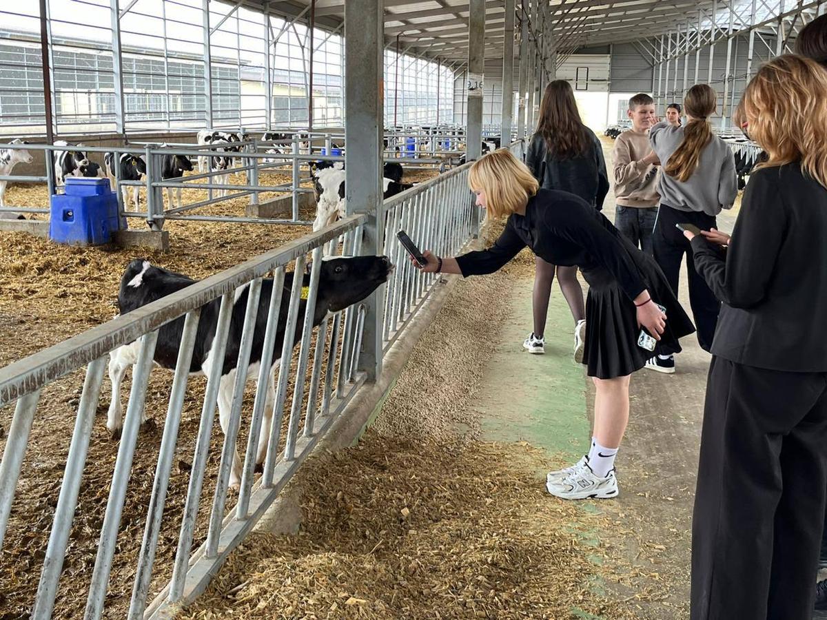 Ставропольские школьники познакомились с работой молочного комплекса в Казинке