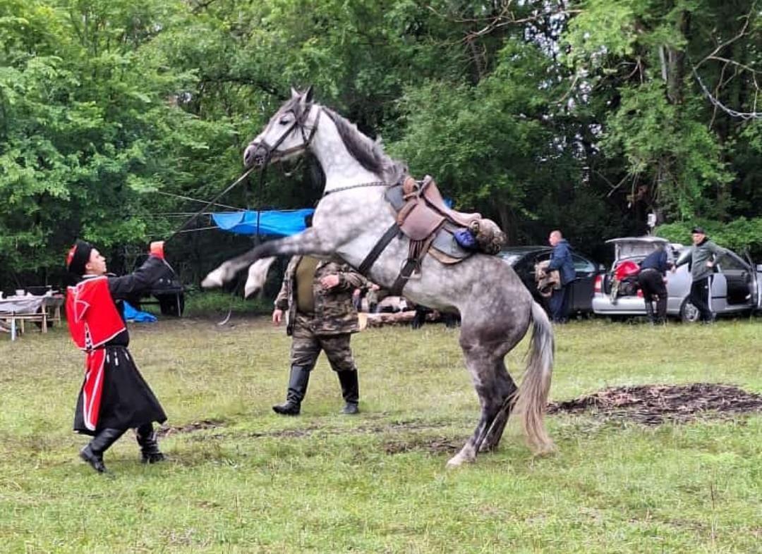 На Ставрополье терские казаки начали конный переход