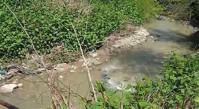 В водоемах Ставрополья с начала купального сезона погибли 15 человек