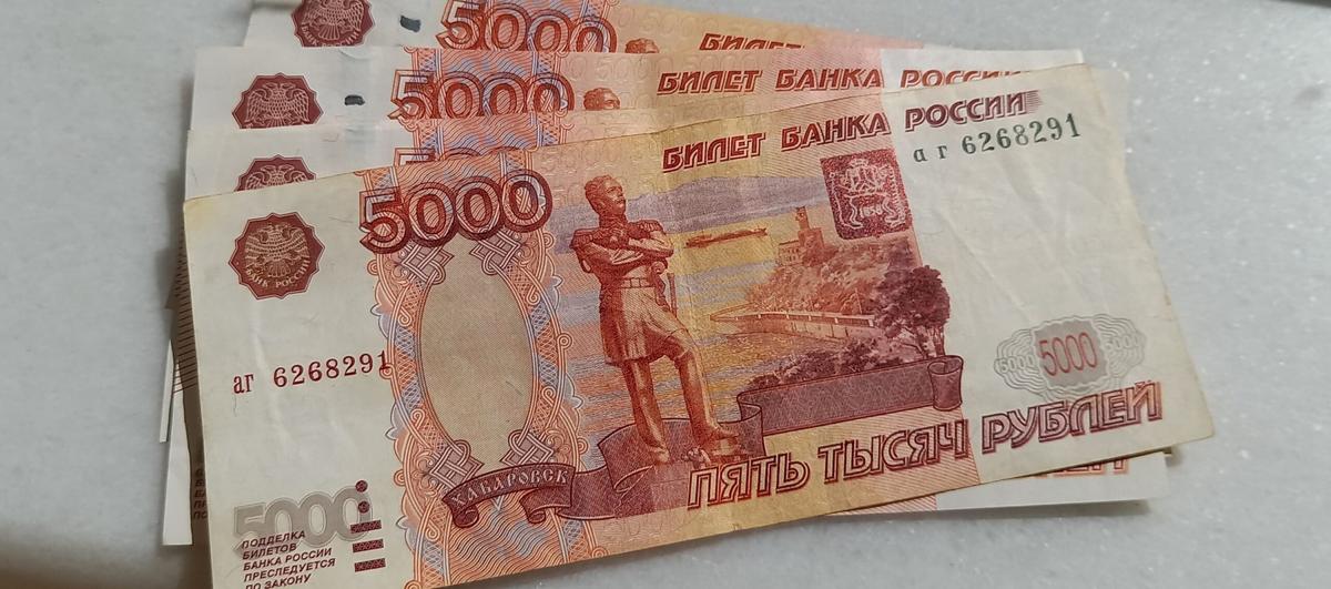 В Ставрополе директор коммерческой организации подозревается в сокрытии денег