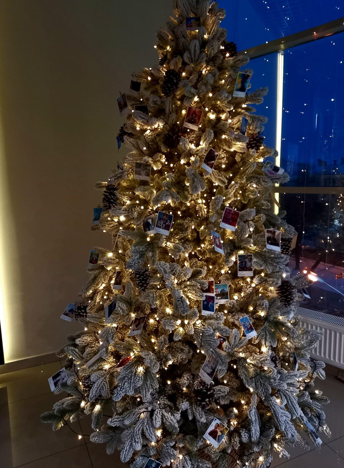 Более 137 тысяч ставропольских школьников получат новогодние подарки