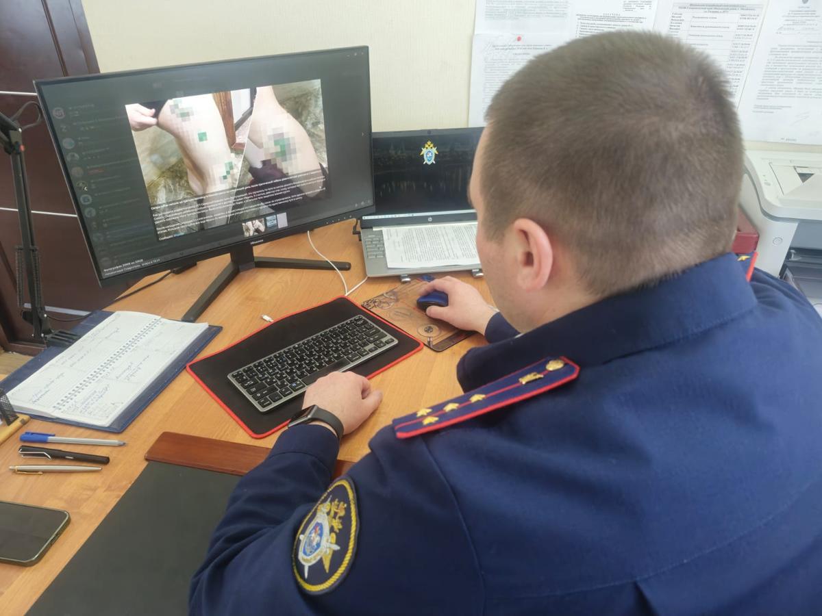 В Шпаковском округе возбудили уголовное дело по факту нападения собак на ребенка