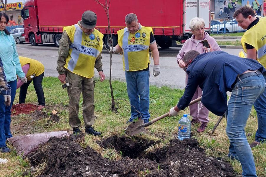 В Невинномысске в преддверии Дня Победы нотариусы высадили деревья