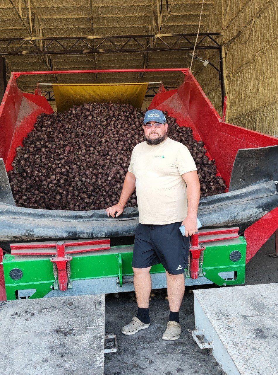 В Предгорье аграрии собрали 1,5 тыс тонн моркови и свеклы